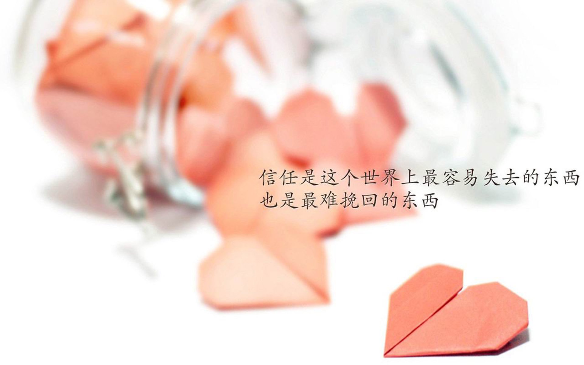 悍勇无双！胡金秋27+15统治内线，福建客场力克青岛夺关键卡位战
