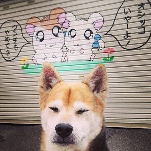 穹顶下的引力失重，当文班亚马在世界杯之夜显山露水