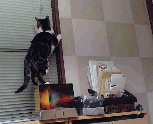 国际邀请赛惊天逆转！深圳队翻盘勇士，米切尔末节独砍20分成关键先生