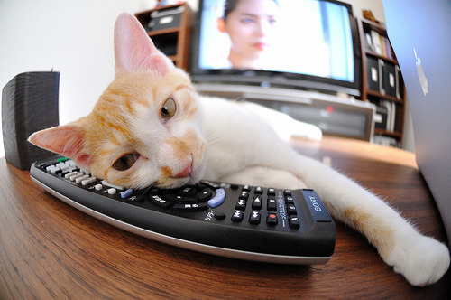 世界排名争夺战焦点战，加纳的惊魂时刻与贝蒂斯的遗憾终局