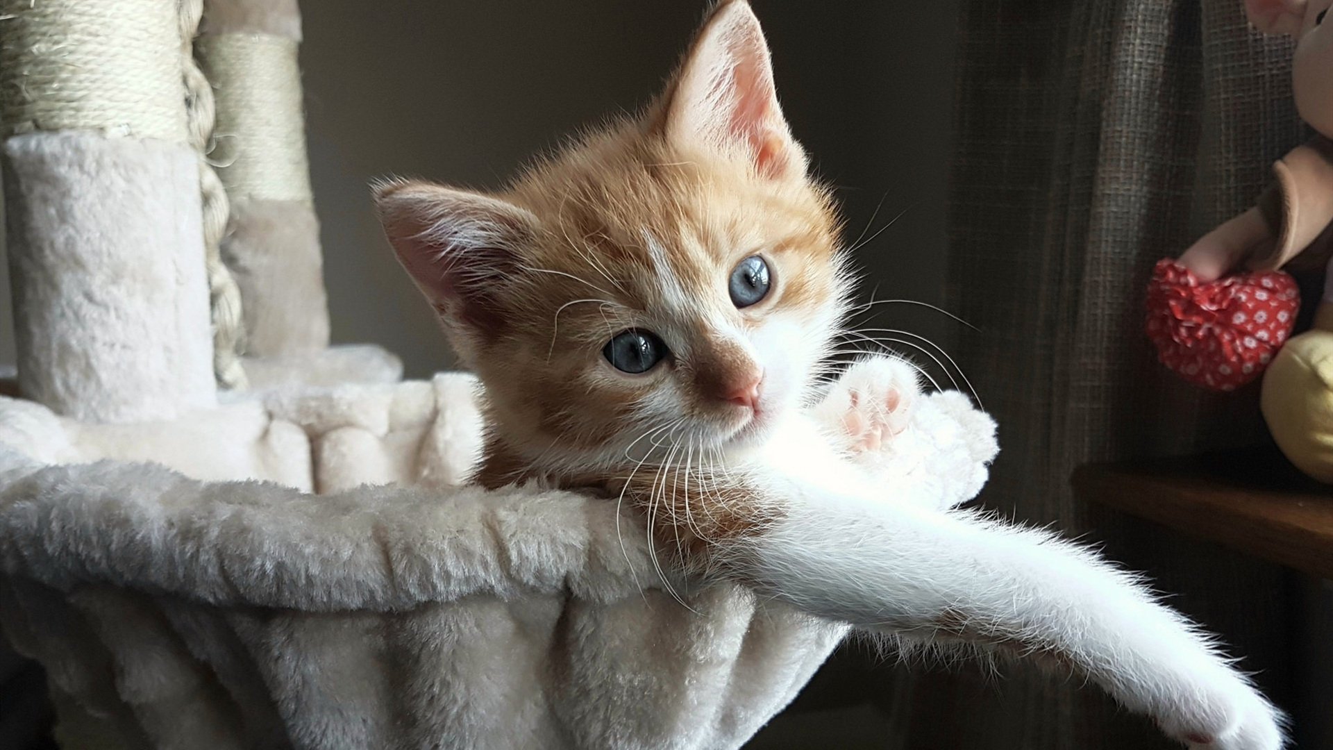 夜与雪的交锋，当福克斯点燃战火，尼克斯用冰封末节带走胜利