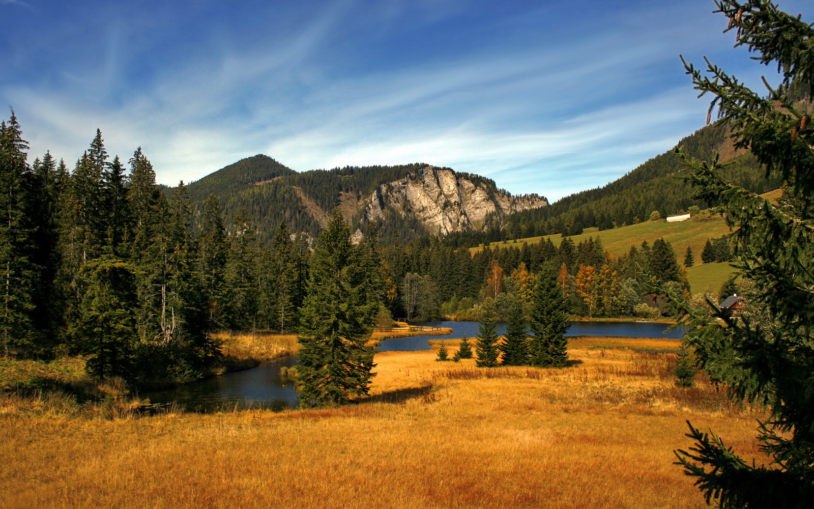 DNA压制！里昂再度征服红牛，内马尔一锤定音锁定年度焦点战