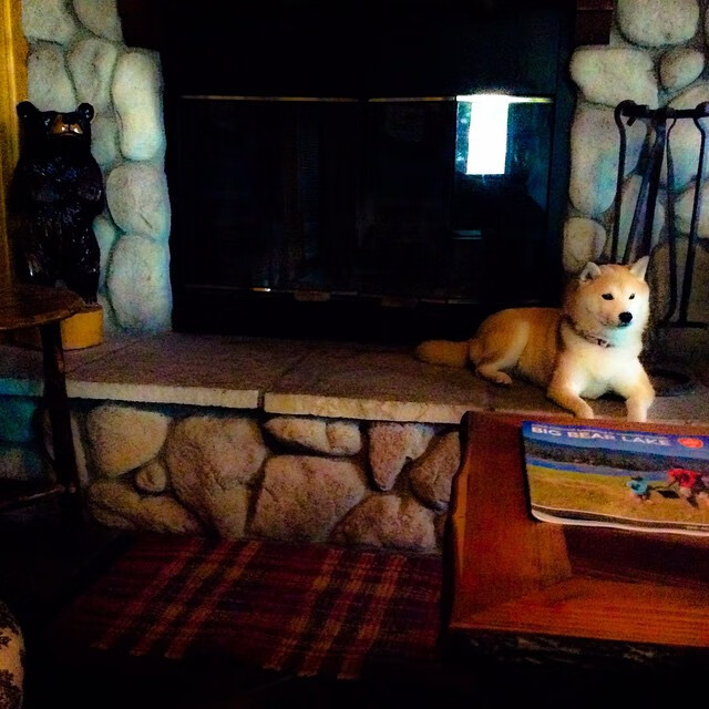 唯一性的悖论，当虚拟与现实在同一夜晚欢呼