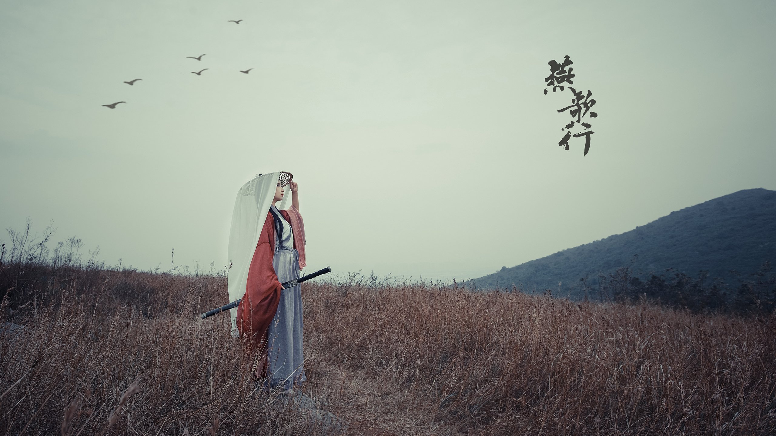 极速与篮途，当F1决战日化身为天山脚下的湖人之战