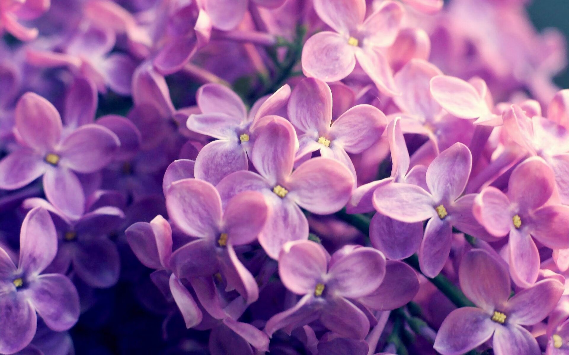 伊蒂哈德之夜，京多安的钢铁脊梁与曼城的战术废墟