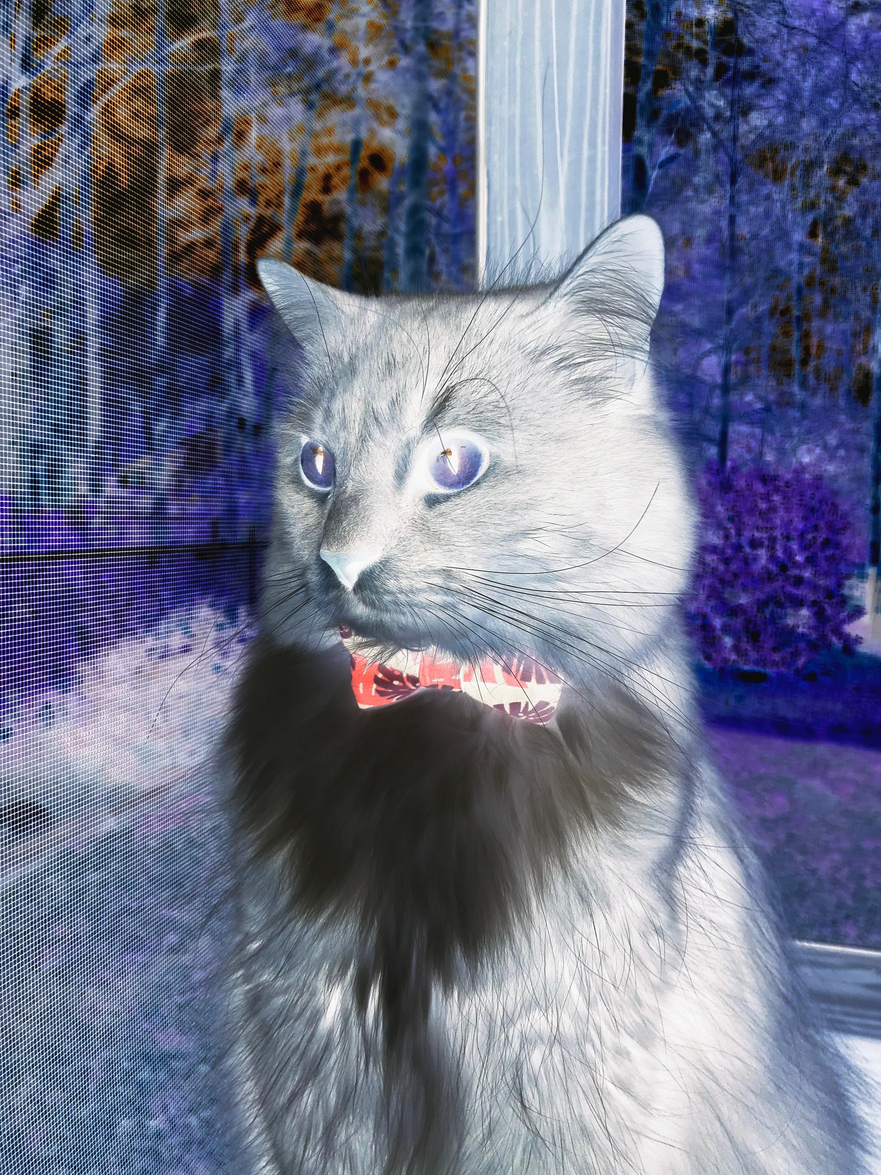 极速对攻，当F1街道赛节奏撞入五棵松—记北京队绝地翻盘步行者之战