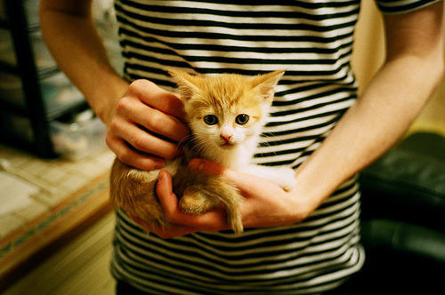 篮网不捕鱼，当东契奇用一场比赛打捞起两个大陆的篮球魂魄