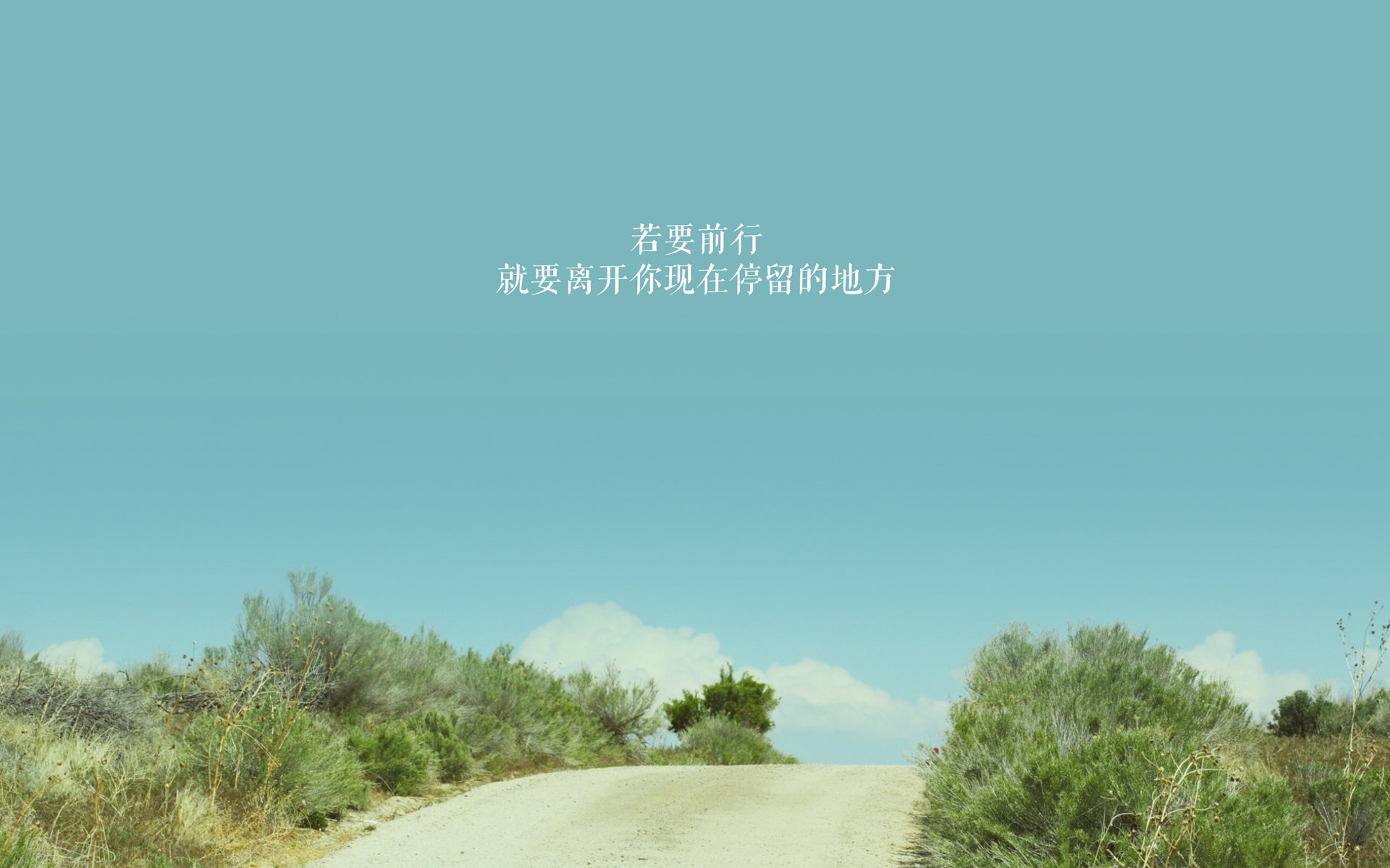 北莱茵战车碾过红魔,2026世界杯F组,德国式横扫与托纳利的钢铁独白