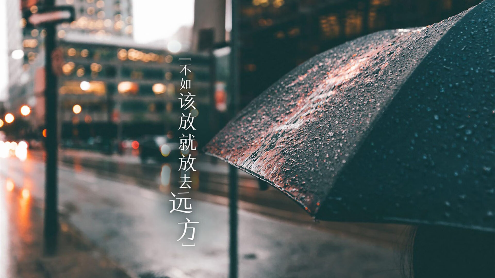 逆转之夜的唯一剧本，坎塞洛引领厄瓜多尔在2026世界杯D组生死战中击溃罗马尼亚